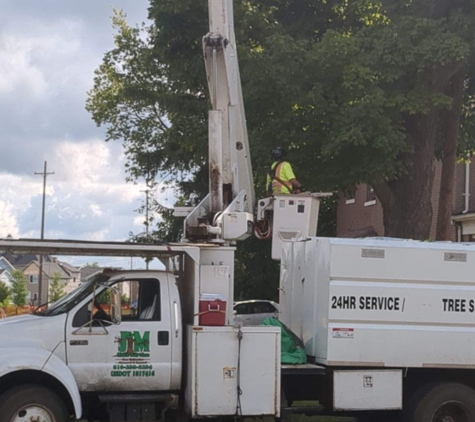 J&M Tree Service - Flint, MI