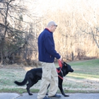 UpwardPup Home Dog Training