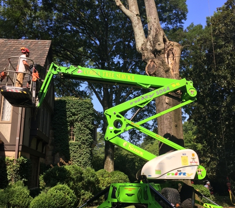 Cobra Tree Service - Memphis, TN