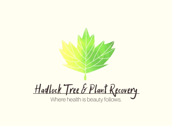 Hadlock Tree & Plant Recovery - Cedar City, UT