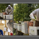 The Bee Barn - Beekeeping & Supplies