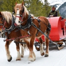 Nordic Sleigh Rides - Horse & Carriage-Rental