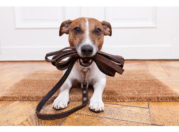 Warwick Town & Country Vets - Warwick, QLD