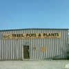 Trees Pots & Plants Inc gallery