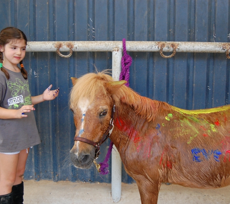 Southern Breeze Equestrian Center - Fresno, TX