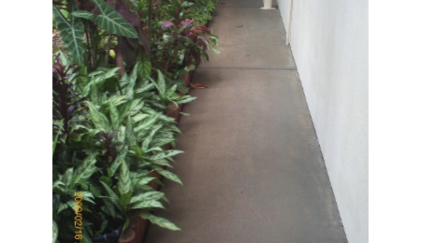 Cairns Pest Control Services - Edmonton, QLD