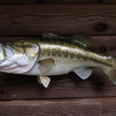 Anglers Choice Taxidermy - Taxidermists