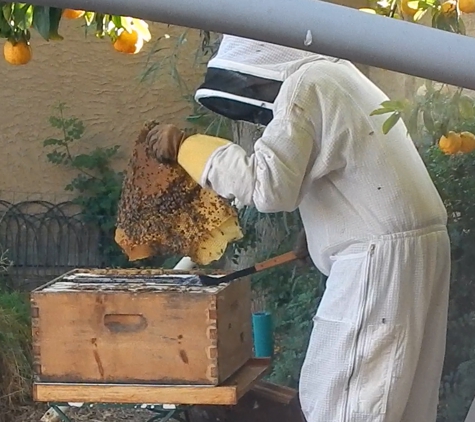 Beekeepers Association - Phoenix, AZ