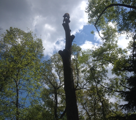 Streamline Lawn and Tree, LLC - Felton, PA