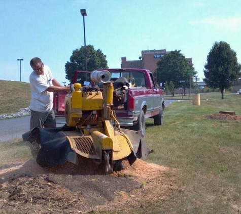 Brining's Stump Grinding - Hedgesville, WV