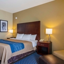 Comfort Inn & Suites Sea-Tac Airport - Motels