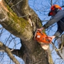 Agnew Tree Service