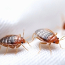 Alert One Termite & Pest Control - Pest Control Equipment & Supplies