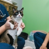 PetVet365 Pet Hospital Leander gallery