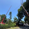 Martel Crane Service & Tree Removal gallery