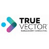 True Vector Management Consulting gallery
