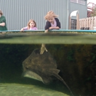 Alabama Aquarium at the Dauphin Island Sea Lab