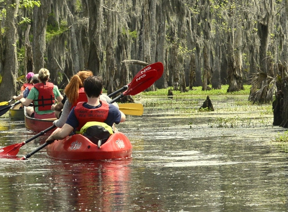 Kayak Swamp Tours - Lacombe, LA