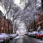 Boston University School of Medicine