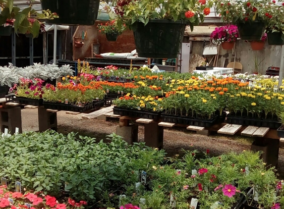 Payne's Nurseries Inc - Santa Fe, NM