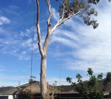 EnviroArb Pty Ltd - Emerald Beach, NSW