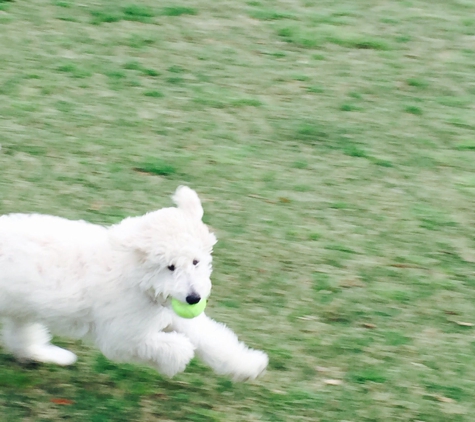 Destin Dog Park - Destin, FL