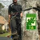 AGA Tree Management - Tree Service