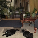 High Country Veterinary Hospital - Veterinary Clinics & Hospitals