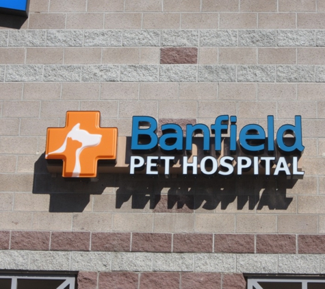 Banfield Pet Hospital - Albuquerque, NM