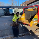 Creative Tree Service - Retaining Walls