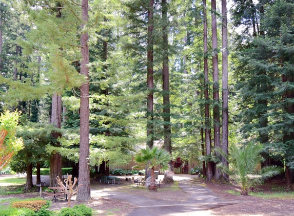 Northwood Lodge - Monte Rio, CA