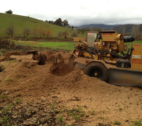 Curtis Tree Lopping Specialists - West Wodonga, VIC