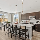 The Pointe - Taylor Morrison - Home Builders