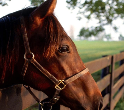 KBC Horse Supplies - Lexington, KY