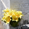 Sutherland Garnier Funeral Hm gallery