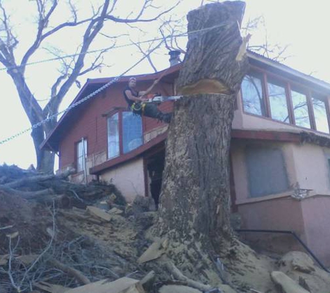 ECO-GREEN Tree Service - Rimrock, AZ