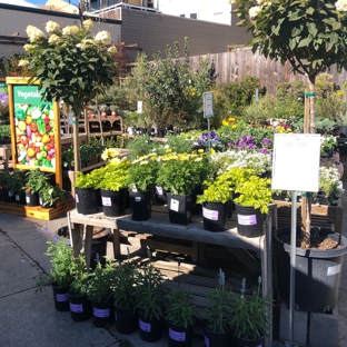 Sloat Garden Center - San Francisco, CA