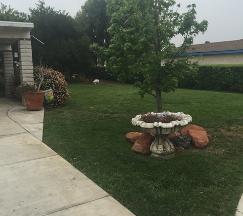 Easy Green Landscaping - Mira Loma, CA