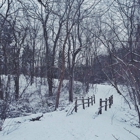 Haverford Reserve Dog Park