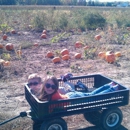 Lendt's Pumpkin Patch - Farms