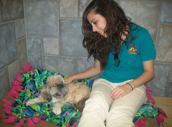 Best Friends Pet Care - Willow Grove, PA