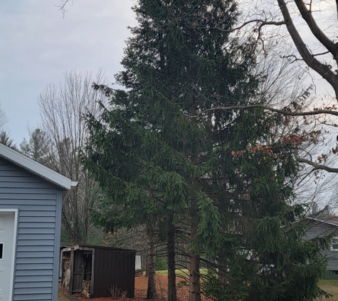 Affordable Tree Service - Sanford, MI