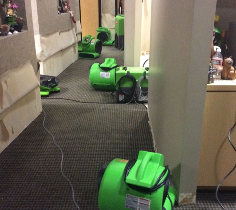 Servpro of Spring Valley/Jamul - Spring Valley, CA