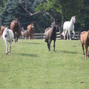 Millhaven Horse Farm Derwood - Derwood, MD