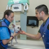 Livewell Animal Hospital of Elizabeth gallery