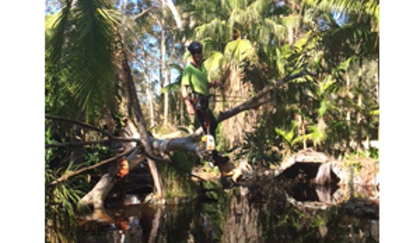 Newcastle Tree Care - Waratah, NSW. Professional, qualified and experienced staff