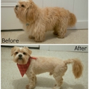 The Dapper Dog - Pet Grooming