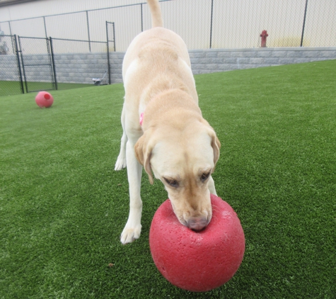 Animal Family Veterinary Care Center - Davenport, IA