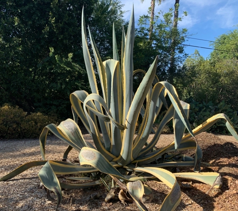 Arlington Garden in Pasadena - Pasadena, CA