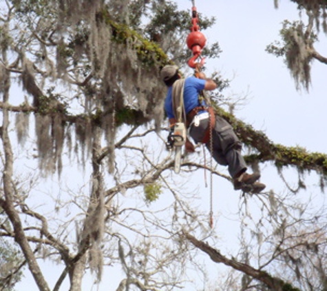 USA Tree Service - Weeki Wachee, FL